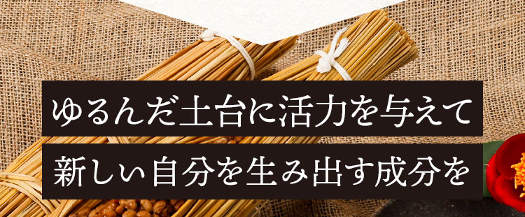 2つの厳選した食材と5つのサポート成分を